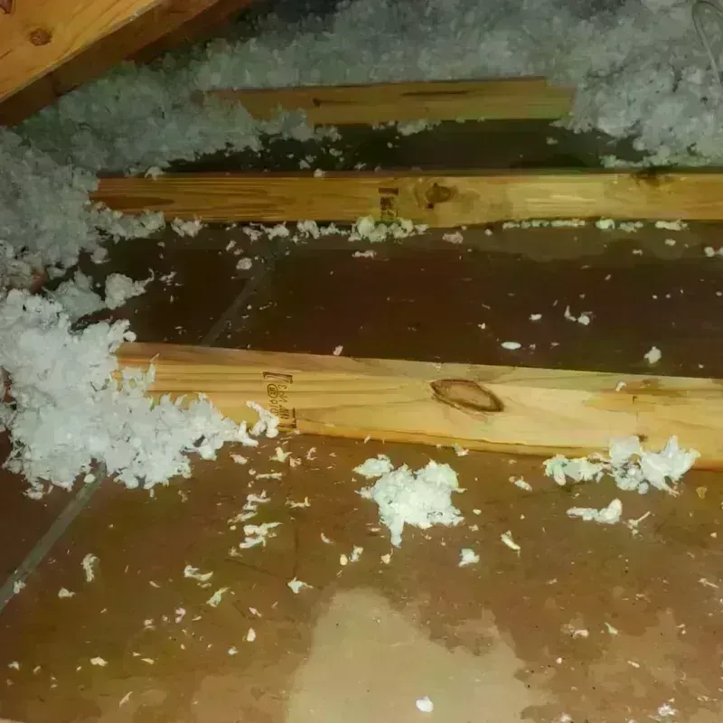 Attic Water Damage in Tuftonboro, NH